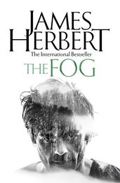 Book cover for The Fog