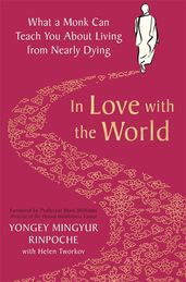 Book cover for In Love with the World