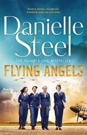 Book cover for Flying Angels