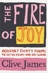Book cover for The Fire of Joy