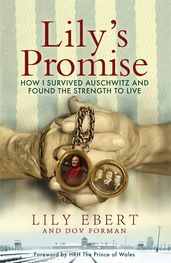Book cover for Lily's Promise