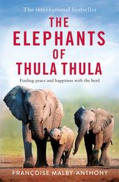Book cover for The Elephants of Thula Thula
