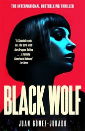 Book cover for Black Wolf